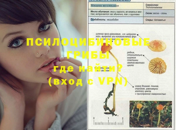 ешки Верхний Тагил