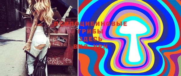 ешки Верхний Тагил